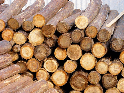 原木木材